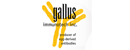 gallus